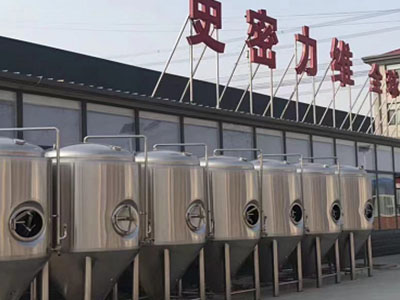 辽阳精酿啤酒设备厂—如何判断精酿啤酒设备的密封件需要更换？